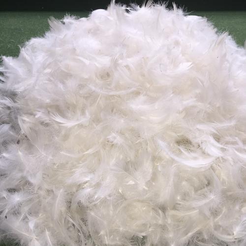 匈牙利進口白鵝絨海關檢查流程詳解