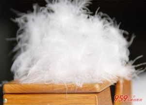 仙娥羽絨制品加盟 仙娥羽絨制品加盟流程