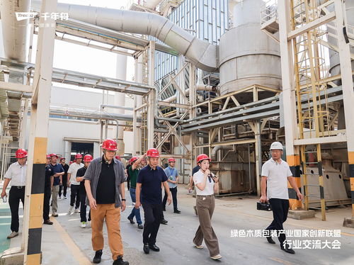 綠色溯源 品質(zhì)引領(lǐng)丨走進(jìn)千年舟工廠,領(lǐng)略智能制造硬核實力