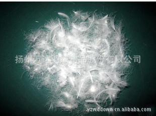 揚(yáng)州萬(wàn)達(dá)羽絨制品：專業(yè)韓版女式高檔羽絨服批發(fā)與訂單加工服務(wù)